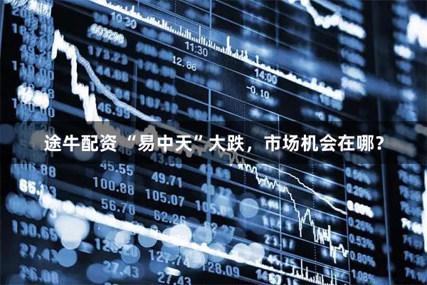 途牛配资 “易中天”大跌，市场机会在哪？