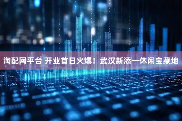 淘配网平台 开业首日火爆！武汉新添一休闲宝藏地