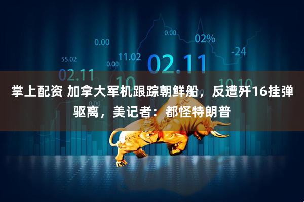 掌上配资 加拿大军机跟踪朝鲜船，反遭歼16挂弹驱离，美记者：都怪特朗普